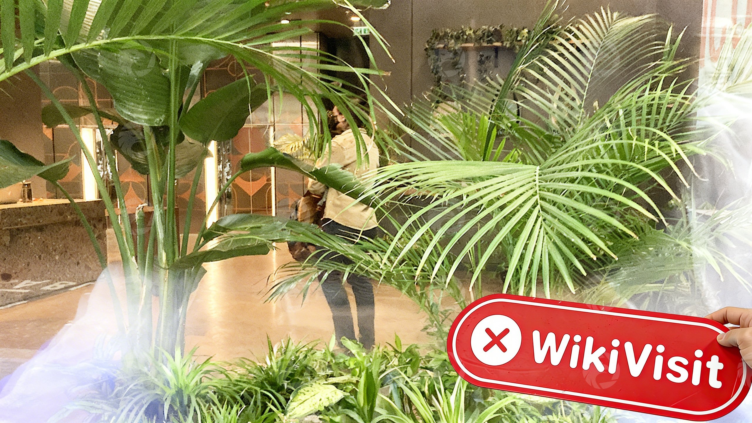 Una visita al intercambio de criptomonedas wirex en el Reino Unido: no encuentra oficina